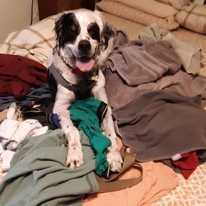 Meet your Posher, Pat